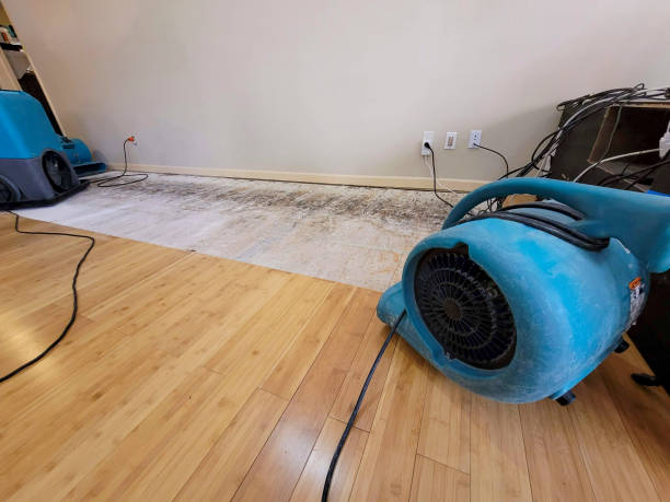 Professional Water Extraction technician working in Rochester, MI